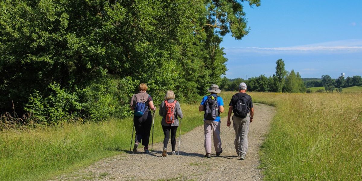 Trail à privilégier