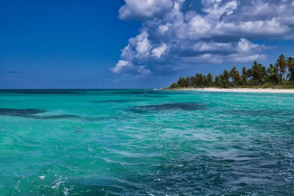 Plage des Caraïbes aux eaux turquoise