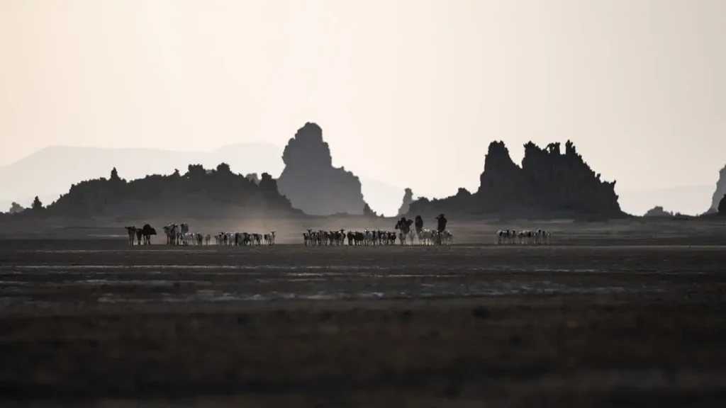 Paysage désertique à Djibouti