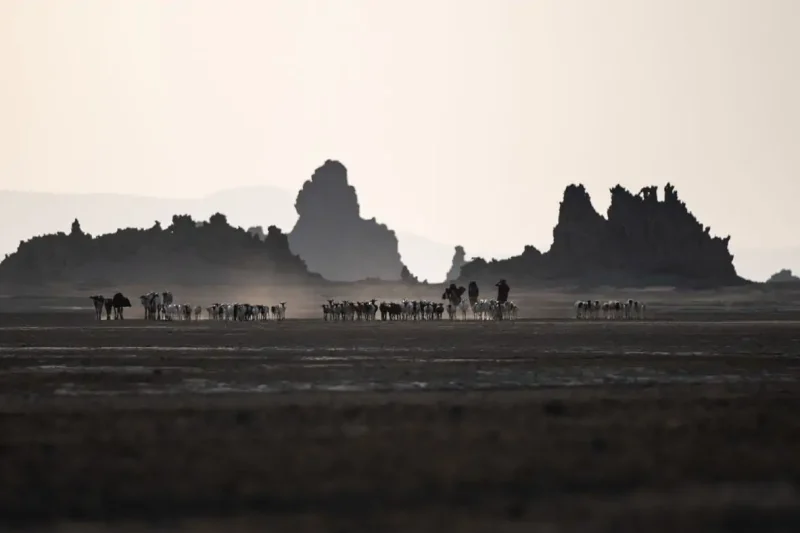 Paysage désertique à Djibouti