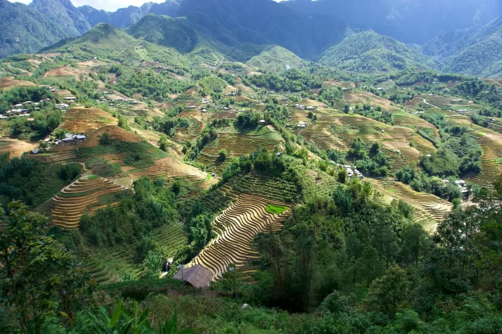 Rizières en terrasses près de Sapa, au Vietnam