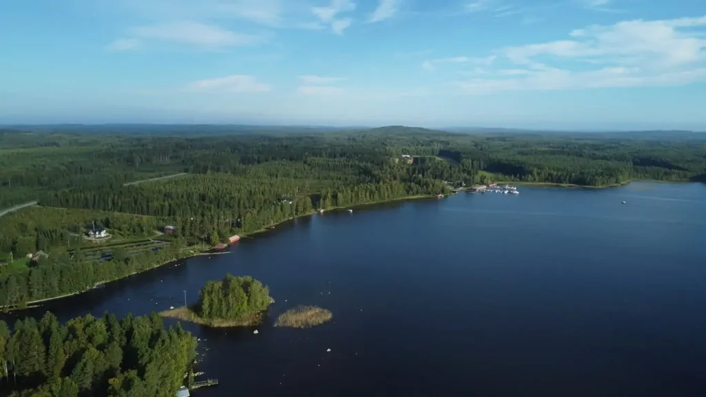 Forêt et lac en Finlande