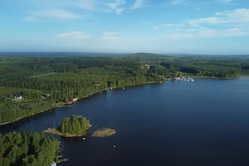 Forêt et lac en Finlande