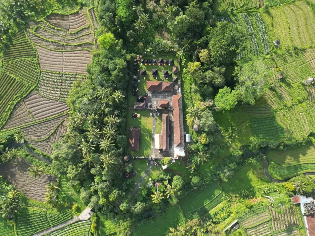 Rizières en terrasses à Bali, en Indonésie