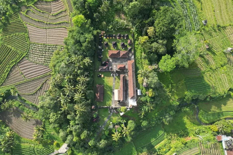 Rizières en terrasses à Bali, en Indonésie