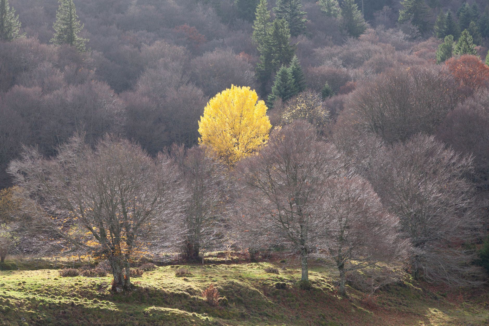 Découvrez les trésors cachés de l'automne en Europe