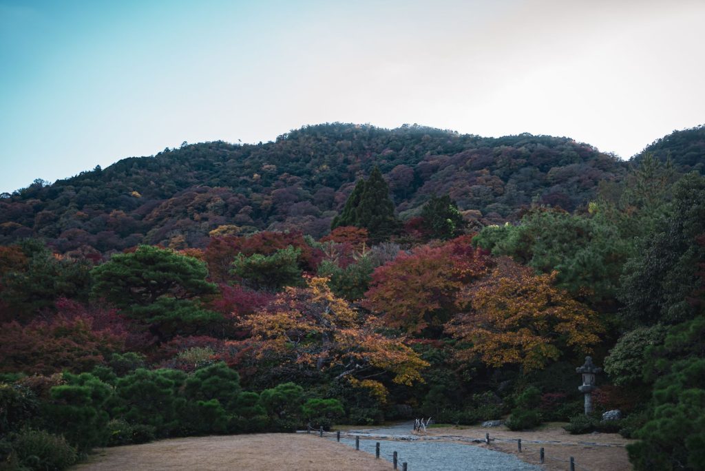 Profitez des vols intérieurs gratuits au Japon